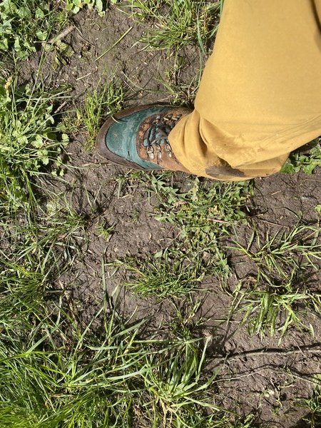My right lower leg and foot in my hiking boots, and a little bit of mud. 