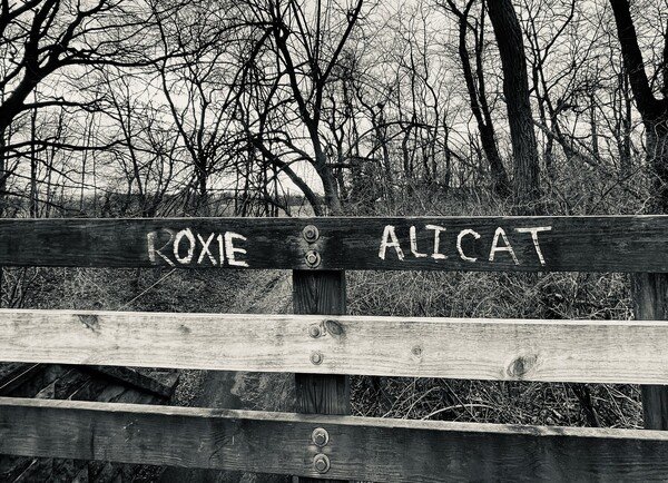 Some graffiti left on a bridge on the Lebanon Valley Rail Trail, presumably written by two stray cats, Roxie and Alicat.