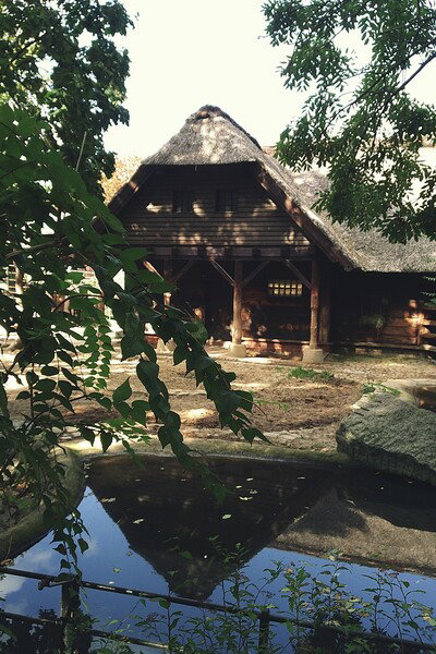 Traditional thatched-roof timber cabin