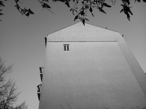 Window