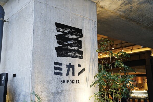 Shimo-Kitazawa Station's shopping area