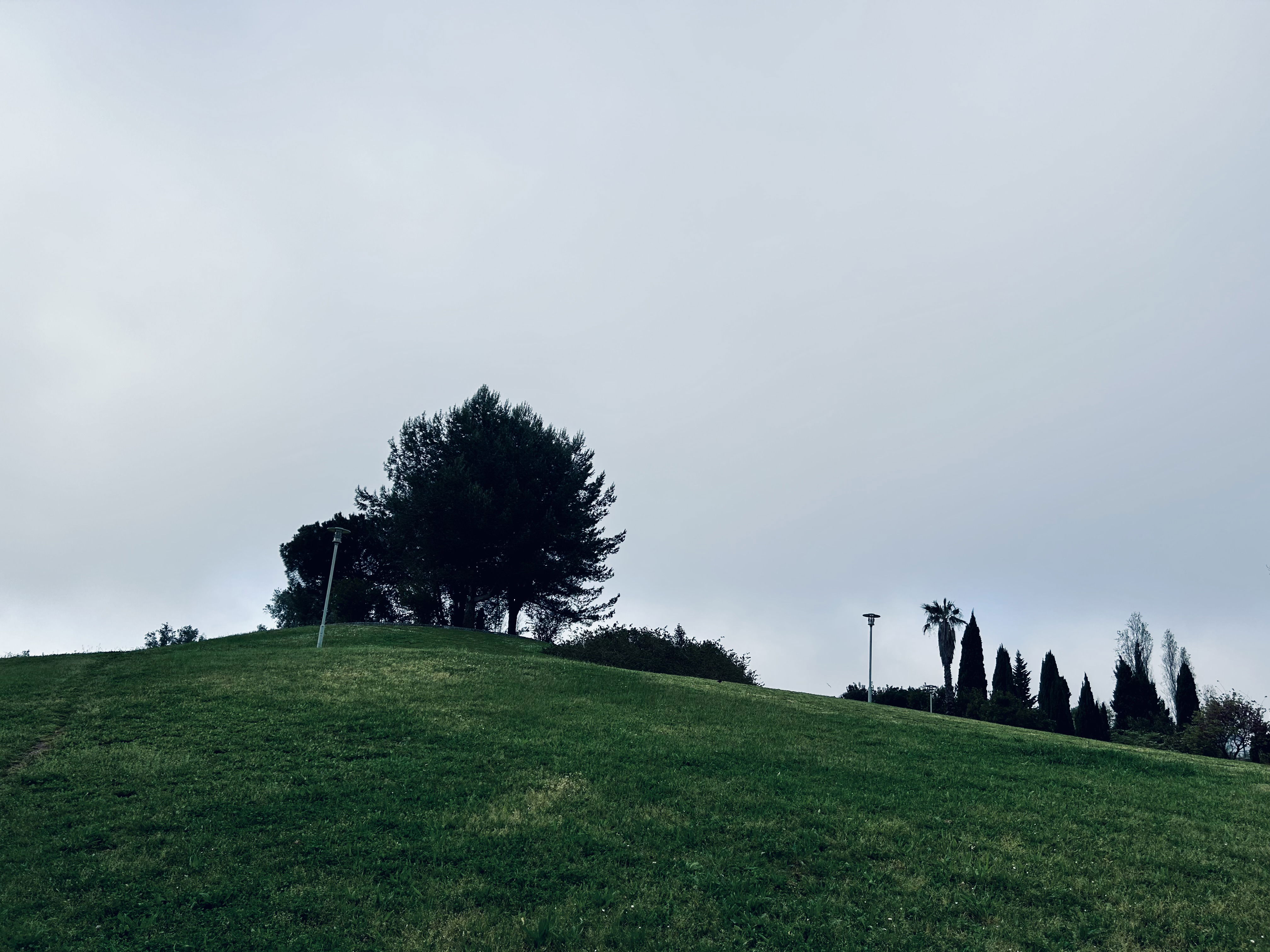 Dark green hill dotted with lampposts, assorted trees and a larger, leafy tree as its centerpiece. It sits against an overcast sky in various shades of gret and pale blue.