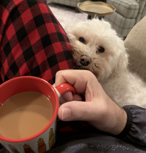 Toby says good morning. 🐶
