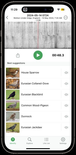 A screenshot of the Merlin Bird ID app. Showing all the birds I heard today. 