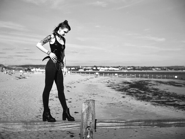Sammy, standing on the groynes on Dawlish Warren beach.