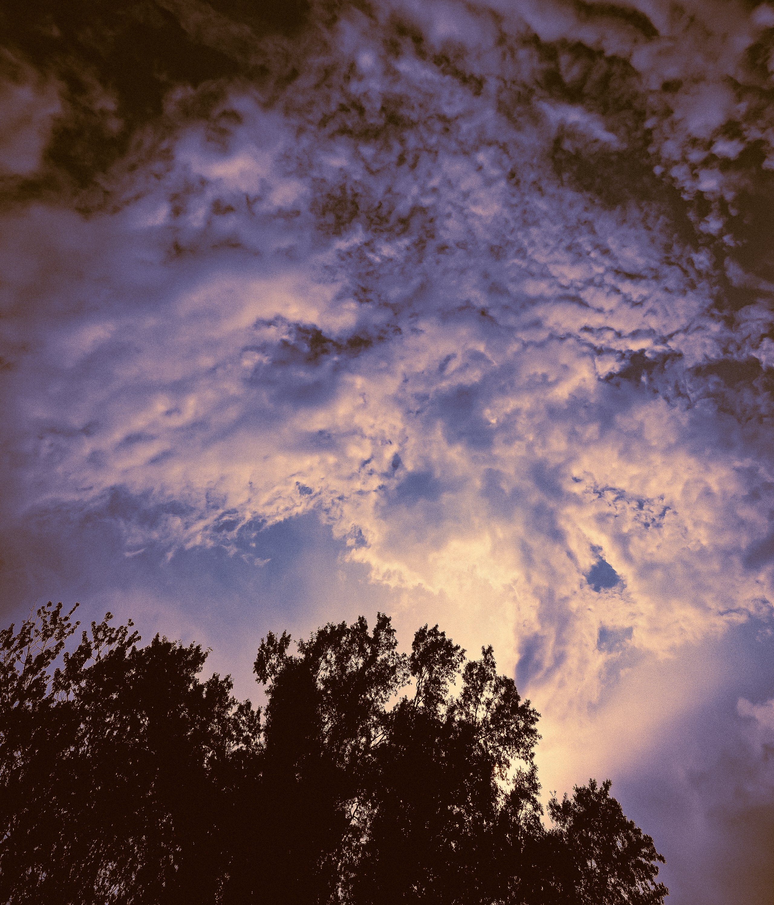 A color photo of a dramatic sky, streaked with blue and purple clouds, with trees in the foreground.