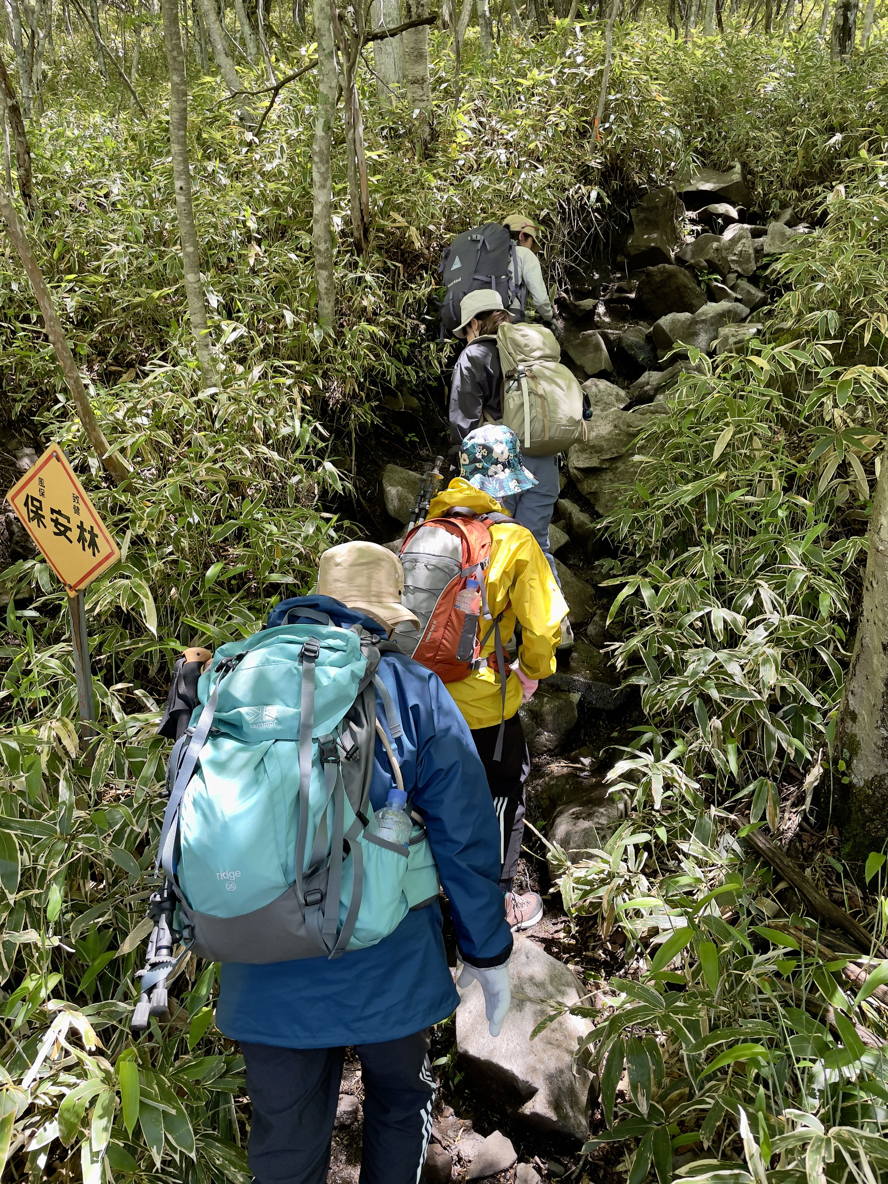 This is what the Mr Kurobi / Akagi trail looks like for the first 90 min: steep and rocky. 