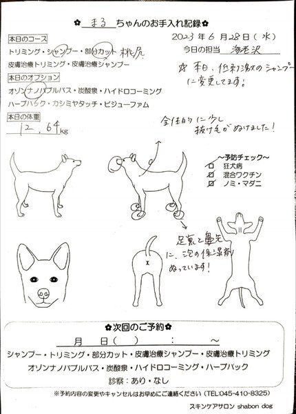 The pet spa we take Maru to is at the vet. Fortunately he likes the female employees there and goes without protest. This is a checkup sheet noting they found some redness and that they gave him a peach butt cut. Lol