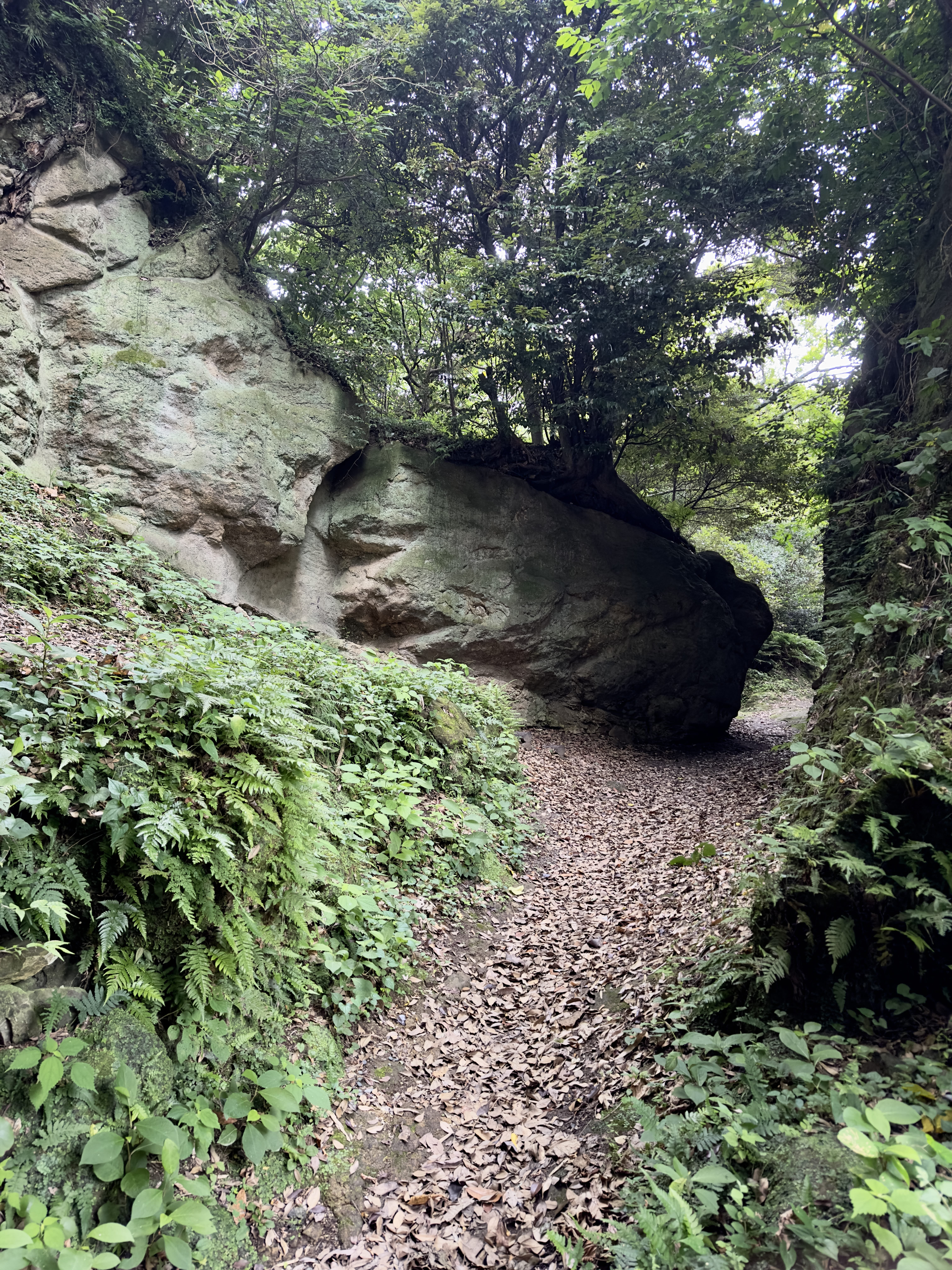 The Nagoe Kiridoshi near Zushi, Japan, is one of the seven ancient passes cut into the mountains surrounding Kamakura.