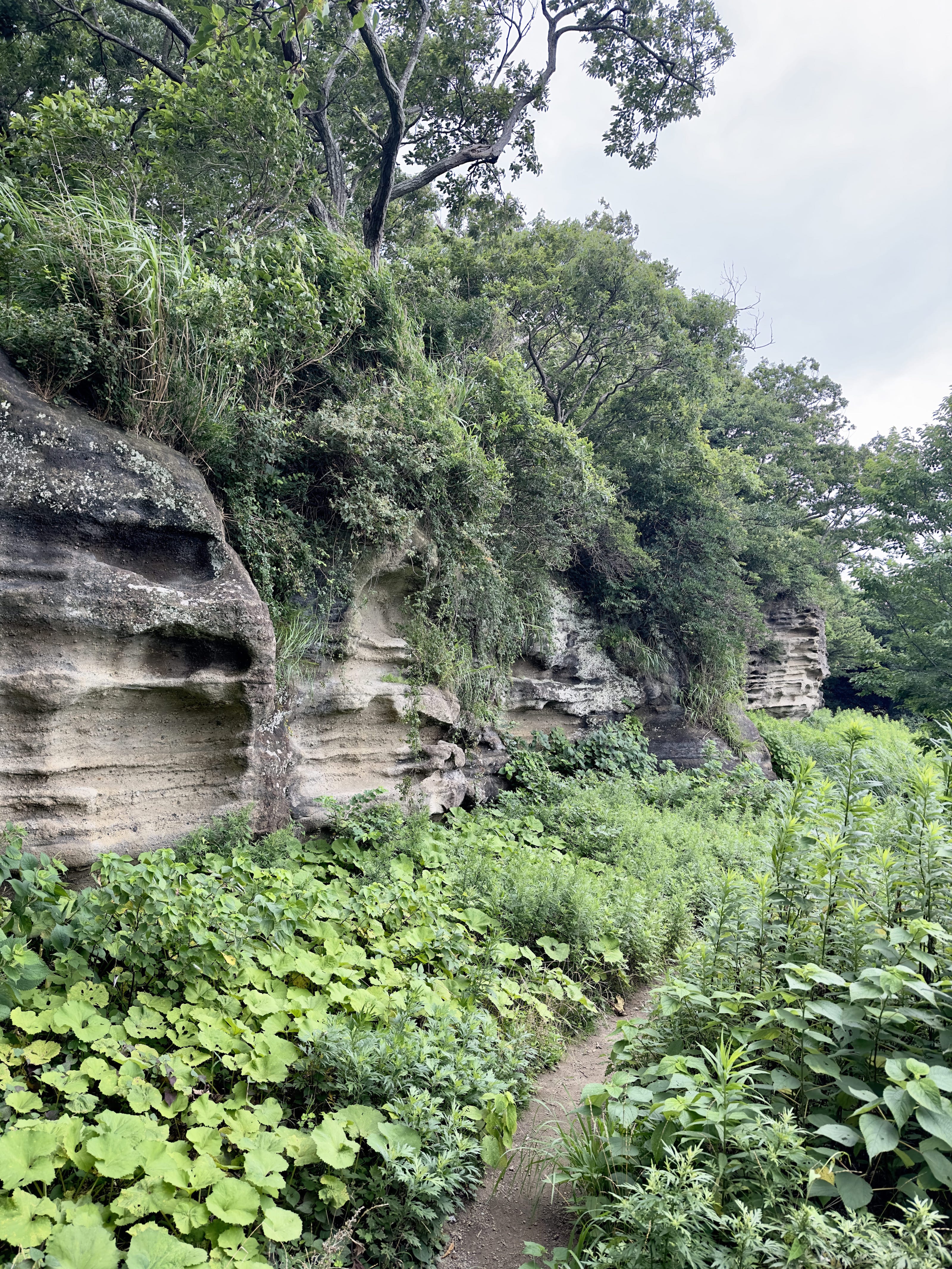 Osarubatake quarry is about 800m long and was used to quarry the stone for various works in Kamakura. 