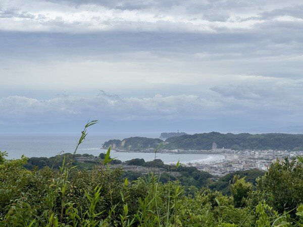 View of the beach near Kamakura, with Enoshima in the distance, from the observation area in Jomoji Ryokuchi Park 