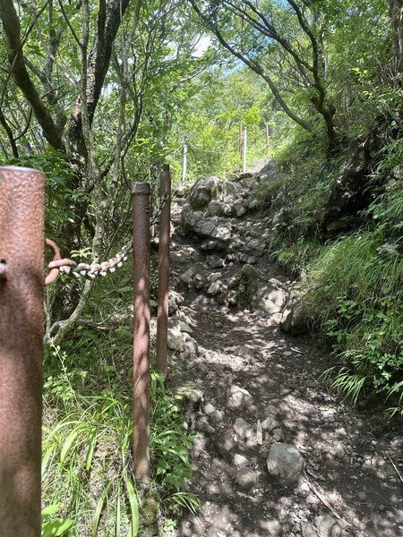 Trail condition ascending Mt. Kintoki in Hakone
