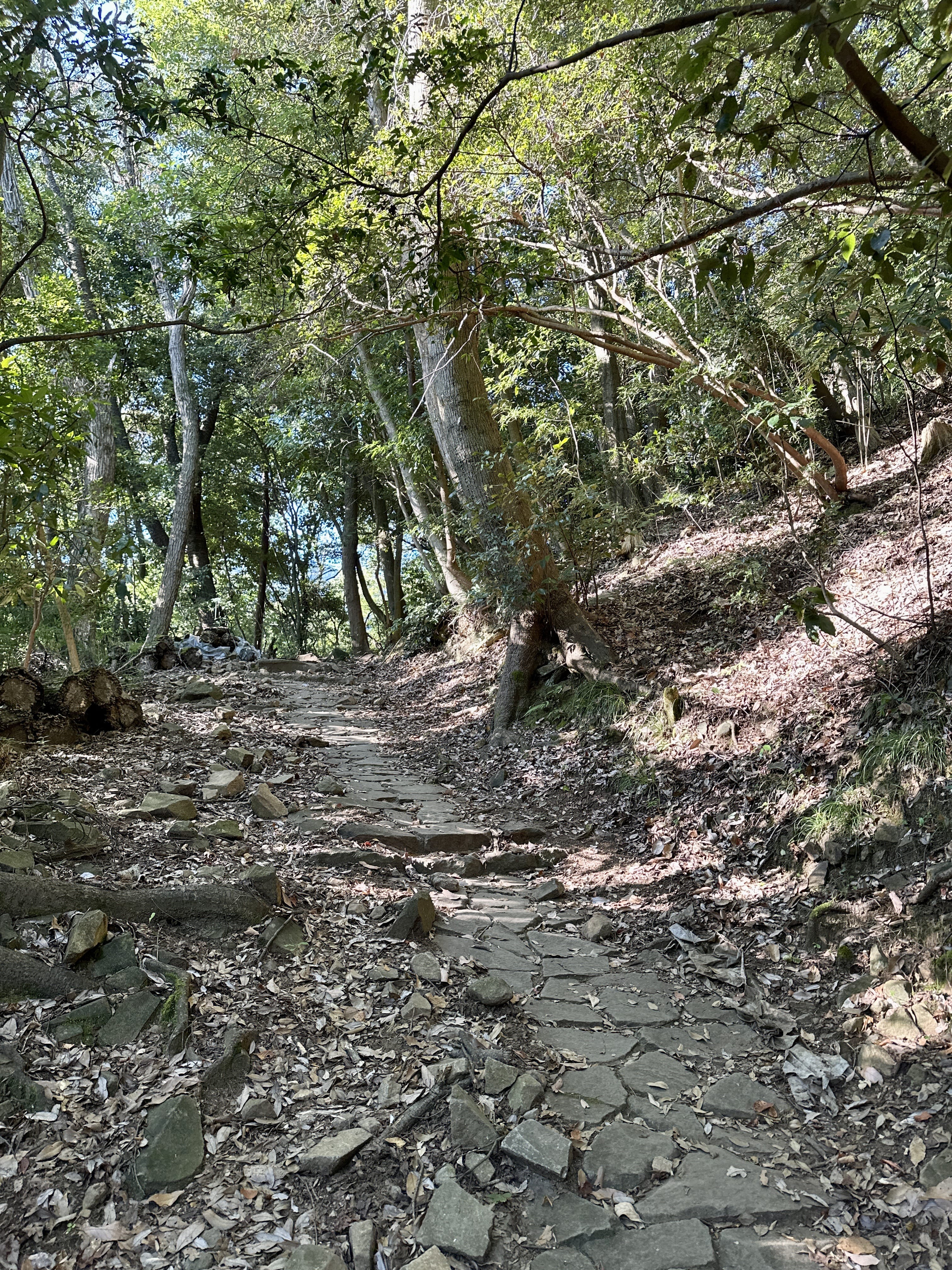 Yusaka-michi Hiking Course in Hakone has paving stone sections that get slick in the rain