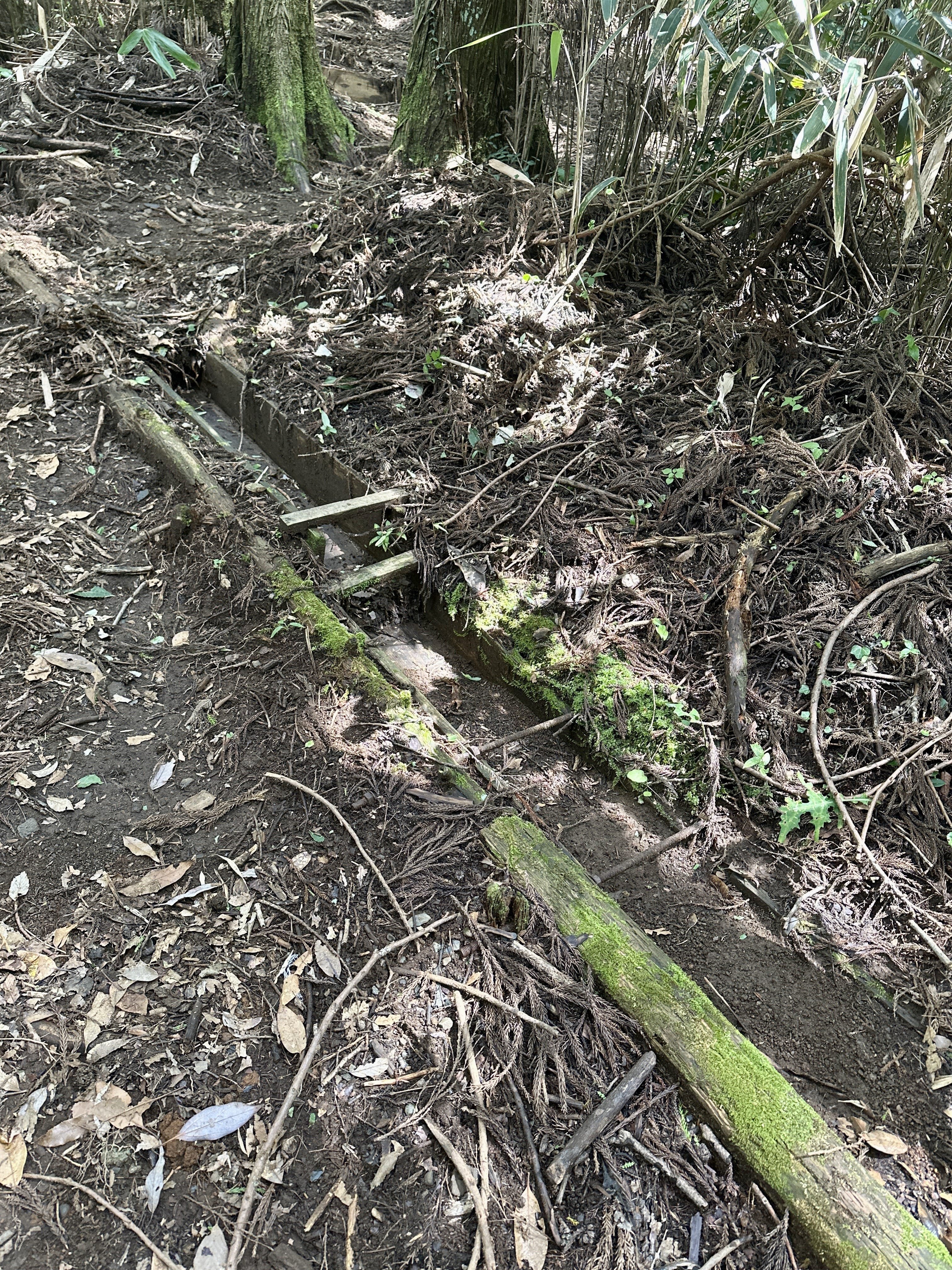 One of many water channels cut across the trail, that you’re asked to scoop a handful of debris from