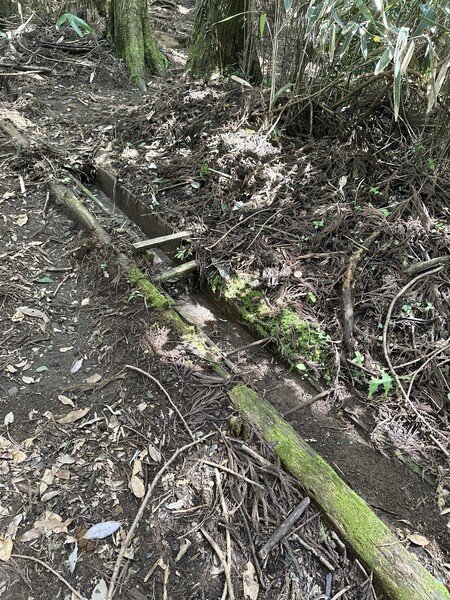 One of many water channels cut across the trail, that you're asked to scoop a handful of debris from