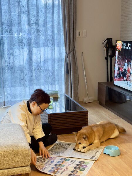 Maru the Shiba is “helping” a woman read the newspaper. 