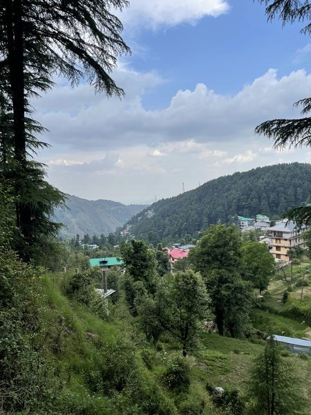 Dharamkot, Himachal Pradesh, India