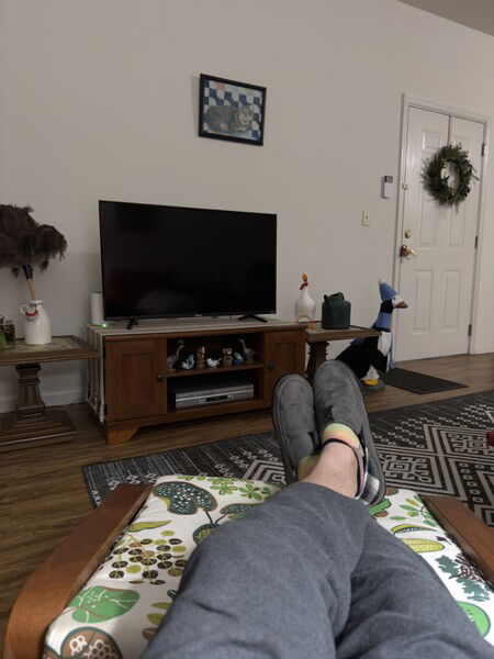 Testing out the Unpro iOS app. Yes, that's the goose from the Untitled Goose Game, next to our indoor concrete goose who is disguising herself as a penguin. 