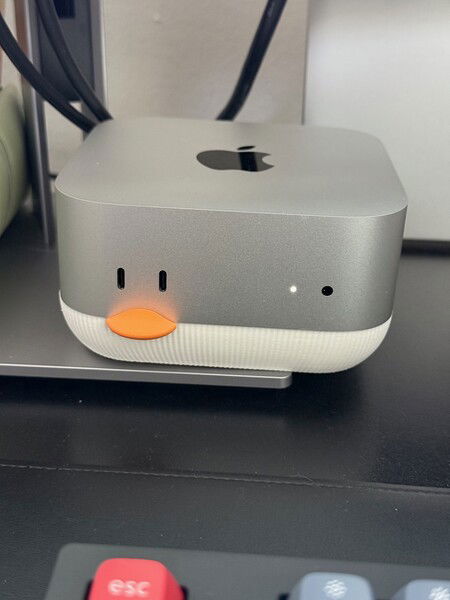 I now have a Quack mini M4. Sadly, this duck is mute, and won't quack when you touch the beak.