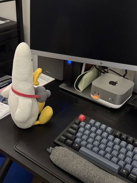 Two ducks, one computer, one camera. 