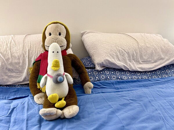 George and WTD are helping me partake in #TheCompoChallenge