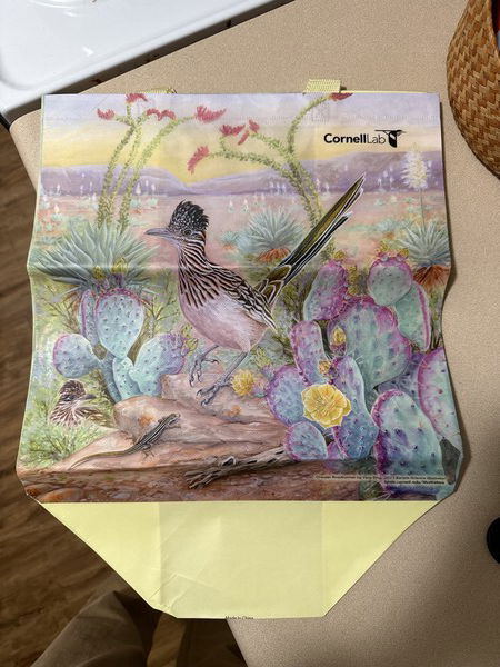 Future tote bag. Note the purposeful stride of the Roadrunner. 