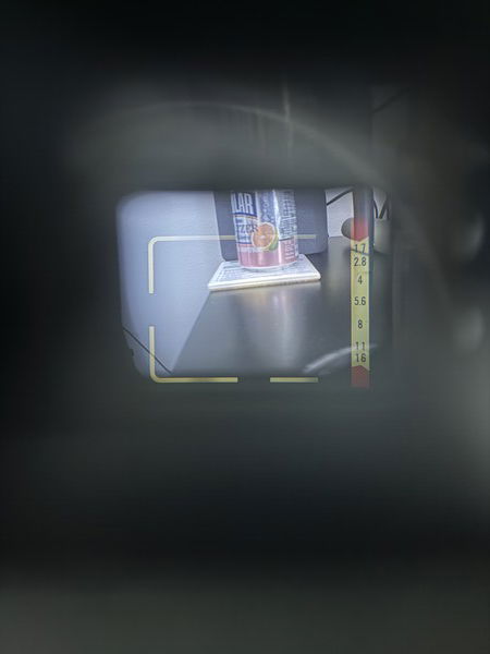 A view from inside my camera’s viewfinder. This is a Canon Canonet QL17 GIII. 