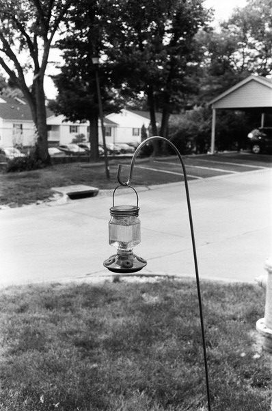 This hummingbird feeder has seen a lot of action, as all the neighborhood hummers have found it. Photo taken with a Canon Canonet QL17 GIII using Ilford FP4+ 125 film.