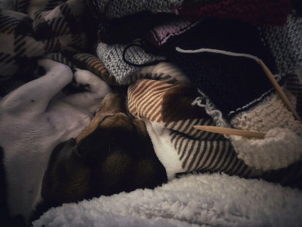 '...It's party time and not one minute we can lose...'
(or earworm vs. reality)