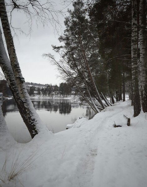 #SilentSunday #nofilters