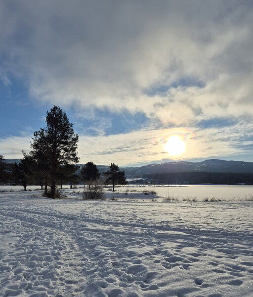 Just another picture of some snow, firs,  frozen water and rolling hills....but, at last there is some blue sky, not the natural monochrome landscape we've had for weeks, and one finally sees, that the sun has made it over the hills way earlier than the  last time you saw it. And you know, that it will get brighter for every day now.