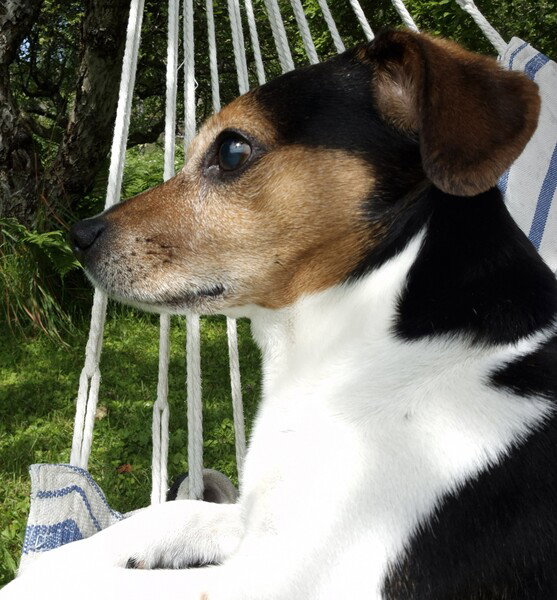 Oscar
'Objekte die mit 'O' beginnen oder so aussehen ...' #FotoVorschlag