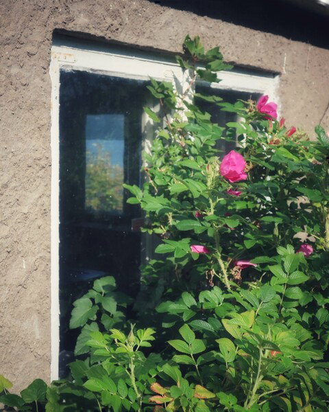 #FensterFreitag