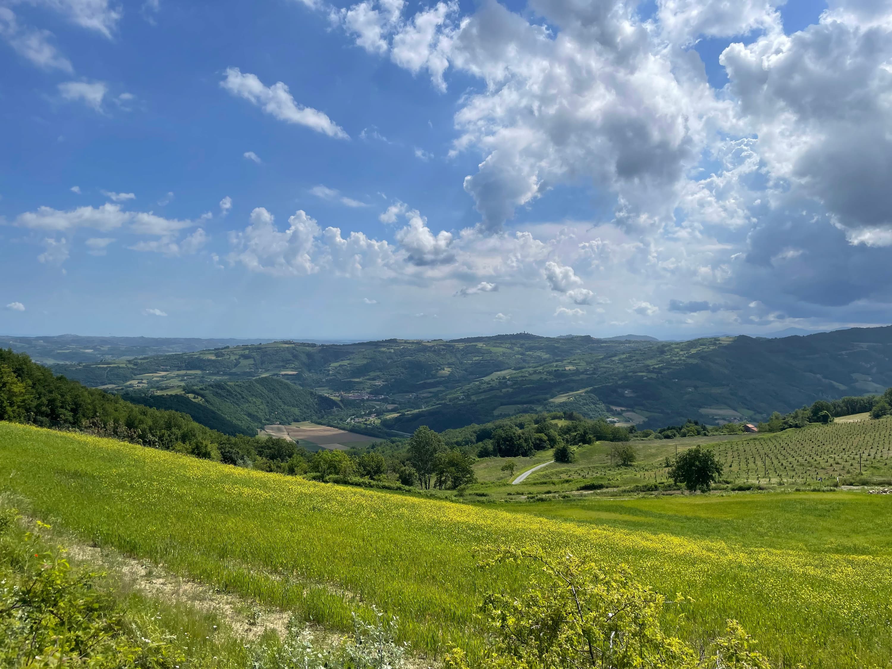 Photo taken on a green hill, looking at the horizon. The sky is full of clouds, and on the right they are quite stormy.