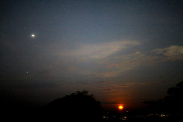 Supermoon rising over the Waitemata harbour, January 2026