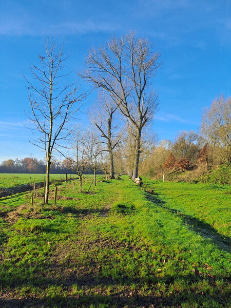 Niet heel Kontich is dus lelijk. 
Verbindingsweg Schapenhagen en Oude Spoorwegberm. 
