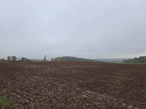 Op weg naar het Margijsbos