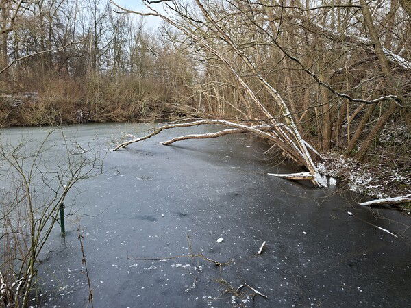 Een bevroren Wolvenbergvijver
