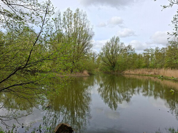 Hobokense Polders