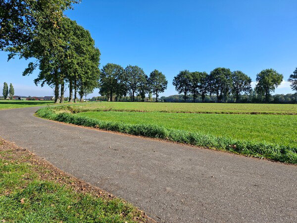 Picknick uitzicht