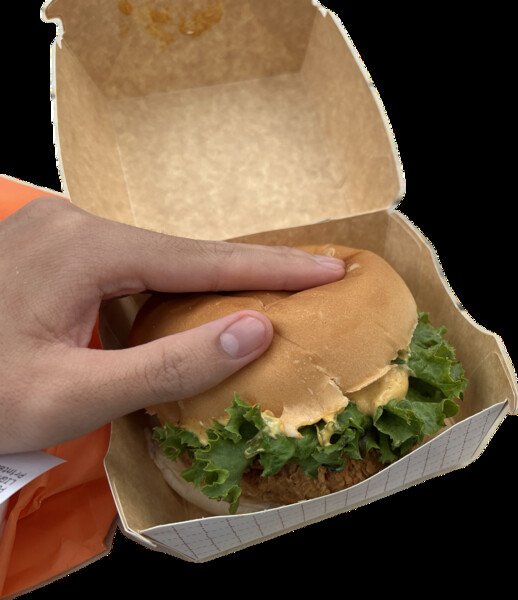 300 grams Plant-based Chicken Burger