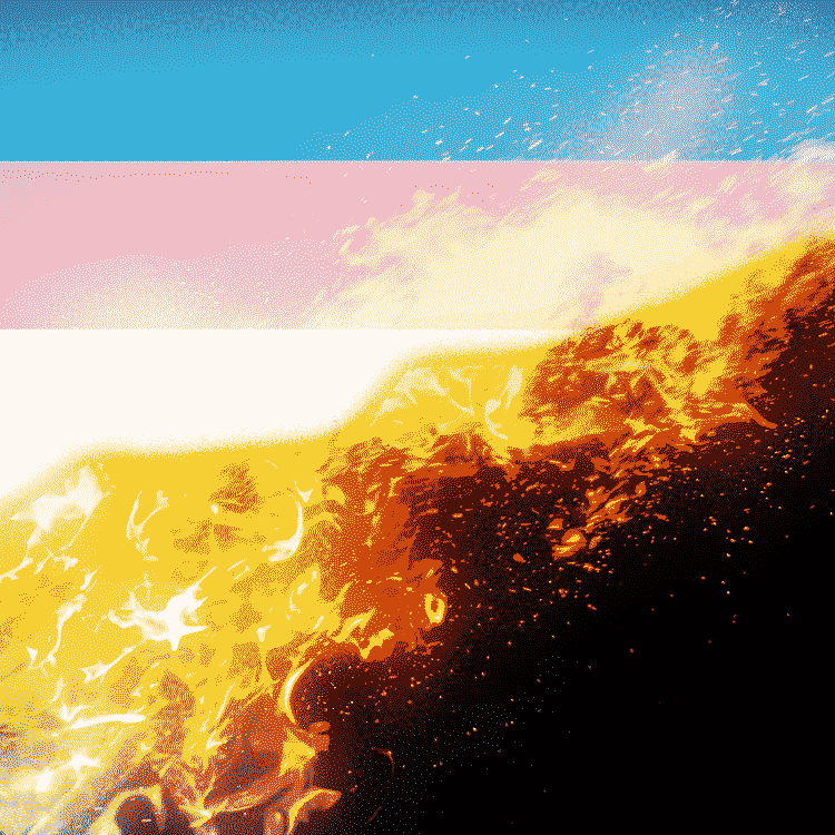 A transgender flag torn in half with a black part on the right. The flag is set on fire, consuming it, making the tear.
