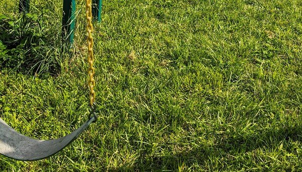 Picture of green grass with an empty swing set seat hanging on the left side.