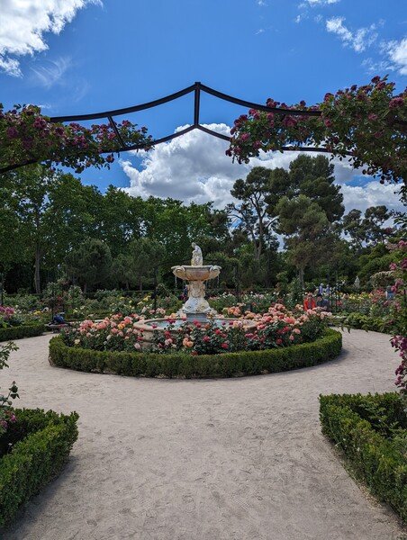 Parque de El Retiro rose garden