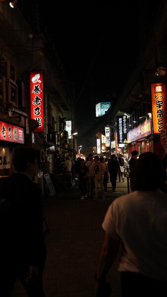 Ueno alleyway, Tokyo at night.