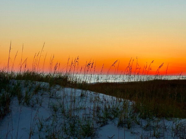 Sunset over the Gulf of Mexico as seen from behind a grassy sand dune at Gulf Shores, Alabama. A colorful gradient remains of fiery colors as the sun dips below the horizon.

Gulf Glow  © 2025 by Eric von Foerster is licensed under CC BY-SA 4.0. To view a copy of this license, visit https://creativecommons.org/licenses/by-sa/4.0/