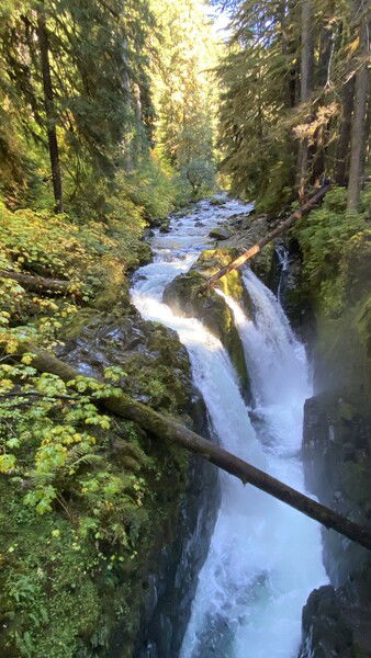 Sol Duc Falls in the lush green Olympic National Park