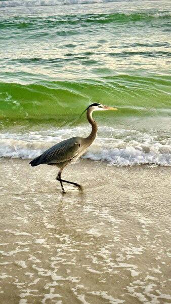 Excuse me, Sir, we’ve been trying to reach you about your cars extended warranty. 