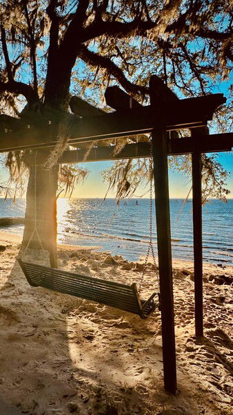 A serene beach scene featuring a swing hanging from a wooden structure beneath a tree, with sunlight reflecting on the water and sandy shore in the background.