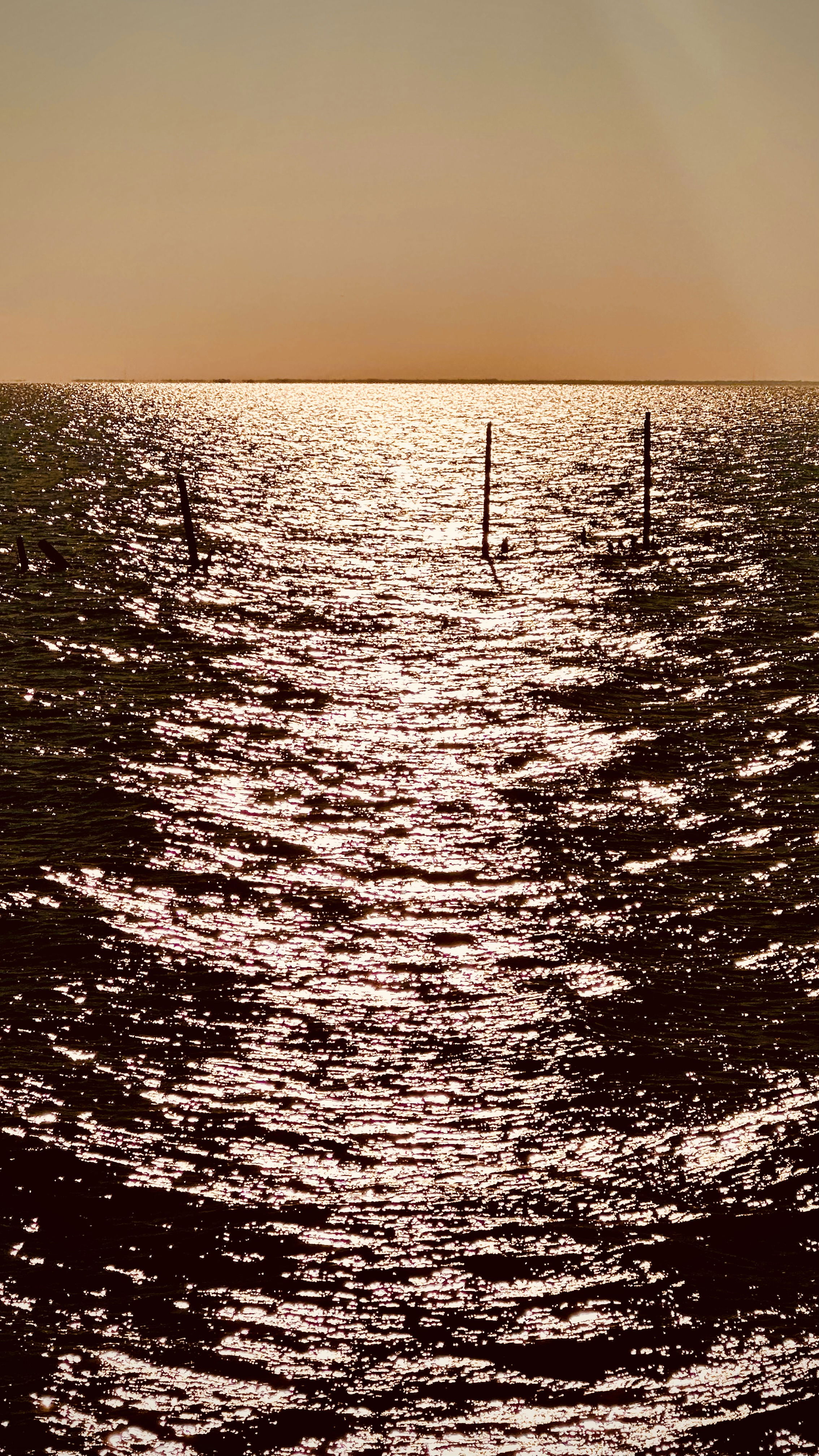 A shimmering body of water reflecting sunlight, with several wooden posts emerging from the surface, set against a warm, golden sky.